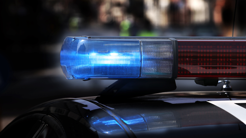 Parlamentar foi preso por furtar escova de dentes / Foto: reprodução