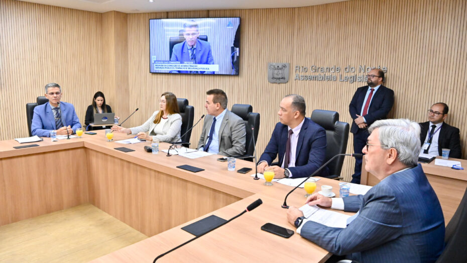 Comissão se reuniu na tarde desta quarta-feira 25. Foto: ALRN.