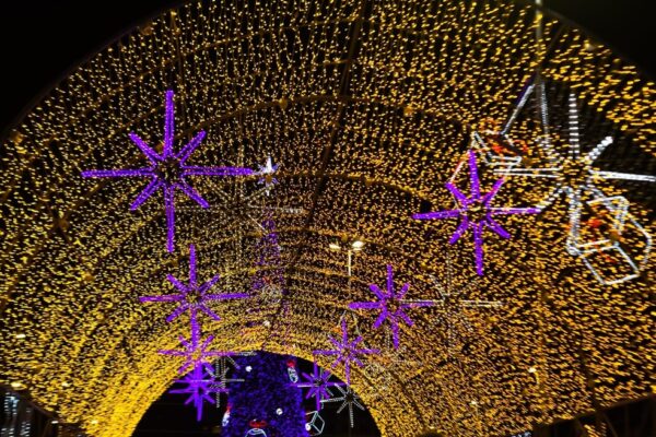 Natal em Natal: Árvore de Ponta Negra será acesa nesta segunda-feira (20) — Foto: Foto: Joana Lima/Secom