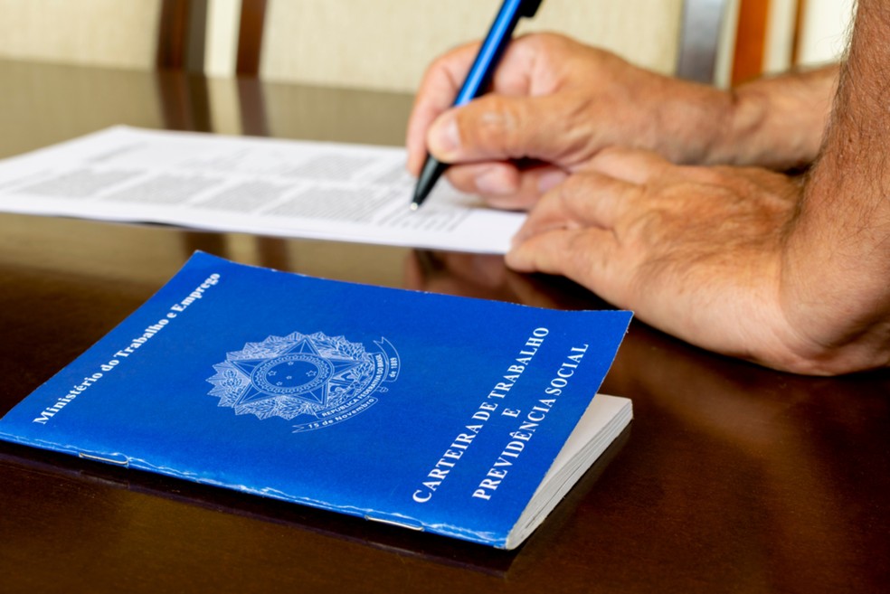 Carteira de Trabalho — Foto: Divulgação Seteq