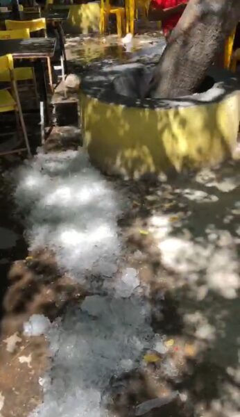 Bar no interior do RN derrama gelo no chão para fugir do calor — Foto: Reprodução