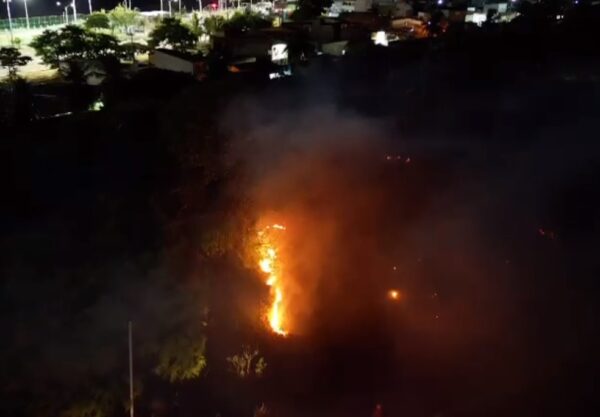 Fogo atingiu área de mata, mas foi controlada pelo Corpo de Bombeiros — Foto: Emerson Medeiros/Inter TV Cabugi