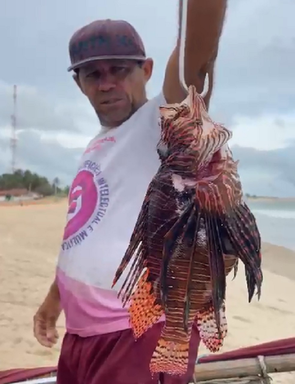 Pescador capturou peixe-leão em Touros, no litoral potiguar — Foto: Reprodução