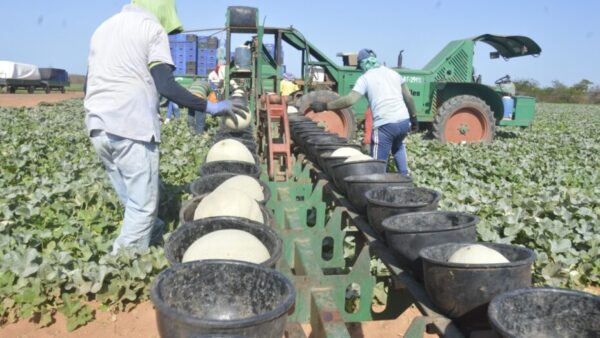 Entidades do setor produtivo também recebem incentivos fiscais. Foto: José Aldenir/AgoraRN