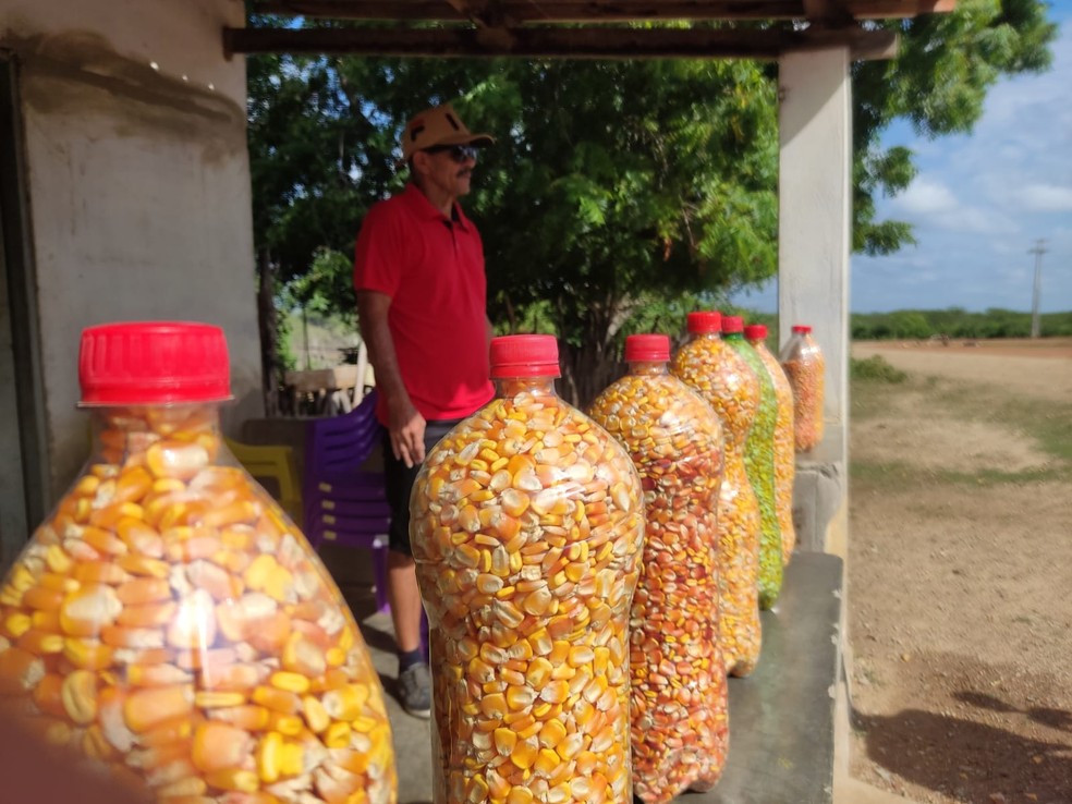 Vozes do Semiárido: Série da UERN que conta histórias da agricultura familiar potiguar estreia no Globoplay — Foto: Divulgação/Vozes do Semiárido