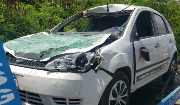Dois cavalos morrem e motorista fica ferido em acidente na Zona Norte de Natal — Foto: Emerson Medeiros/Inter TV Cabugi