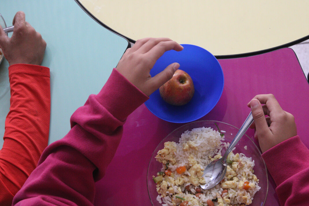 PL quer merenda produzida por agricultores locais