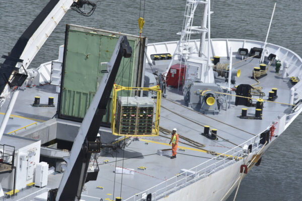 RN fecha 2023 com US$ 781,4 milhões em exportações e uma alta de 6,1%