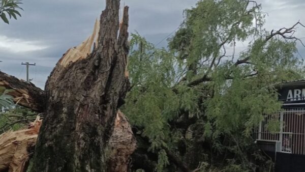 estragos da chuva em Porto Alegre