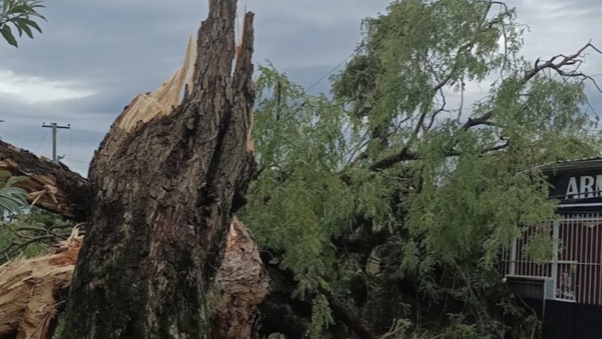 estragos da chuva em Porto Alegre