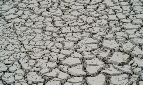 Manaus (AM), 22/11/2023, Chão rachado devido ao nível baixo do rio Igarapé Tarumã-açu, na maior seca em 121 anos que Manaus vem sofrendo. Foto: Rafa Neddermeyer/Agência Brasil
