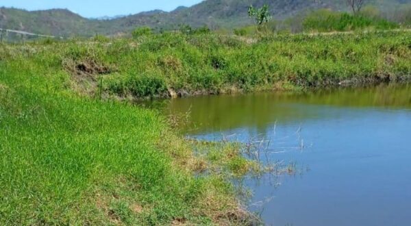 Servidora da UERN morre afogada ao descer de tirolesa em açude no interior do estado — Foto: Cedida