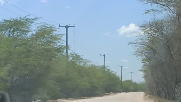 Cabos de energia foram furtados em Grossos, na madrugada da quinta-feira (18) — Foto: O Facho de Grossos/Cedida