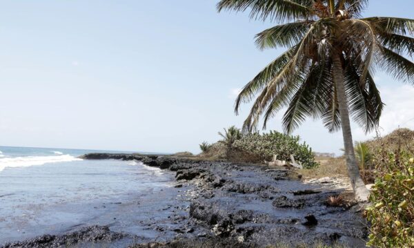 Trinidad Tobago 12/02/2024 Uma área afetada por um derramamento de óleo na Ilha de Tobago, Trinidad e Tobago. Foto Reuters.