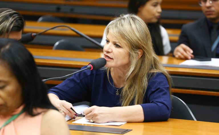 Audiência Pública - Debate sobre o exercício da profissão de cuidador e a regulamentação de adoção de pessoas idosas - PL 4702/2012. Dep. Flávia Morais (PDT-GO)