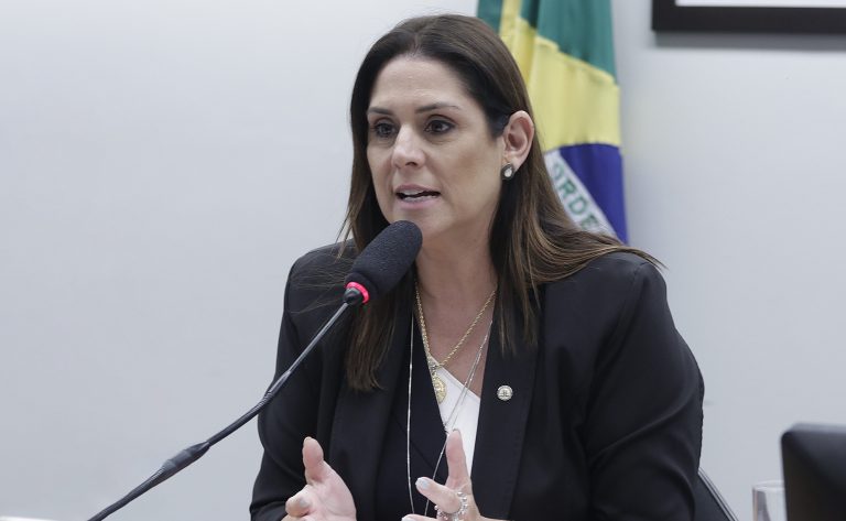 Discussão e Votação do Relatório de Atividades 2023. Dep. Simone Marquetto(MDB - SP)