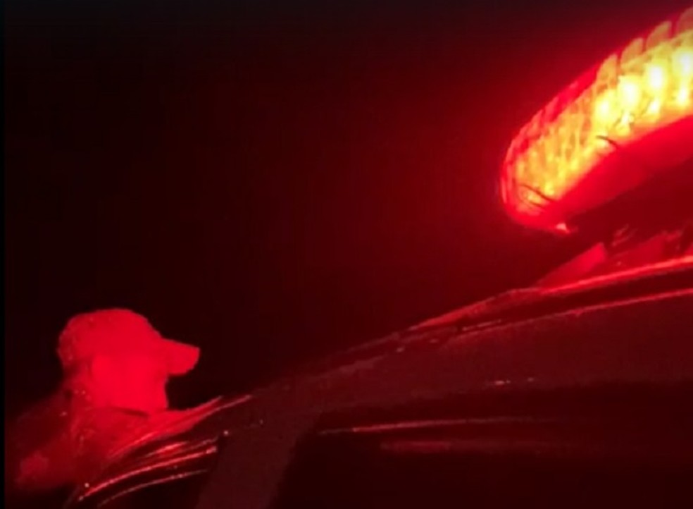 Giroflex de viatura da polícia no RN — Foto: Reprodução