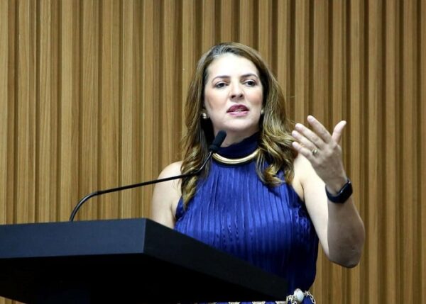 Vereadora Nina Souza (PDT) foi autora do projeto