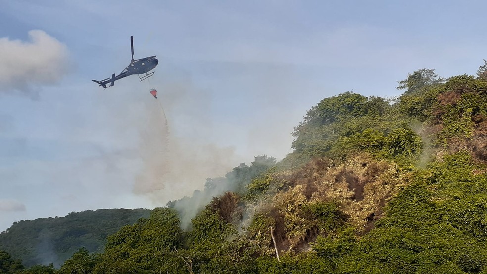 Bombeiros fizeram uma nova atuação para combater as chamas — Foto: Sérgio Henrique Santos/Inter TV Cabugi