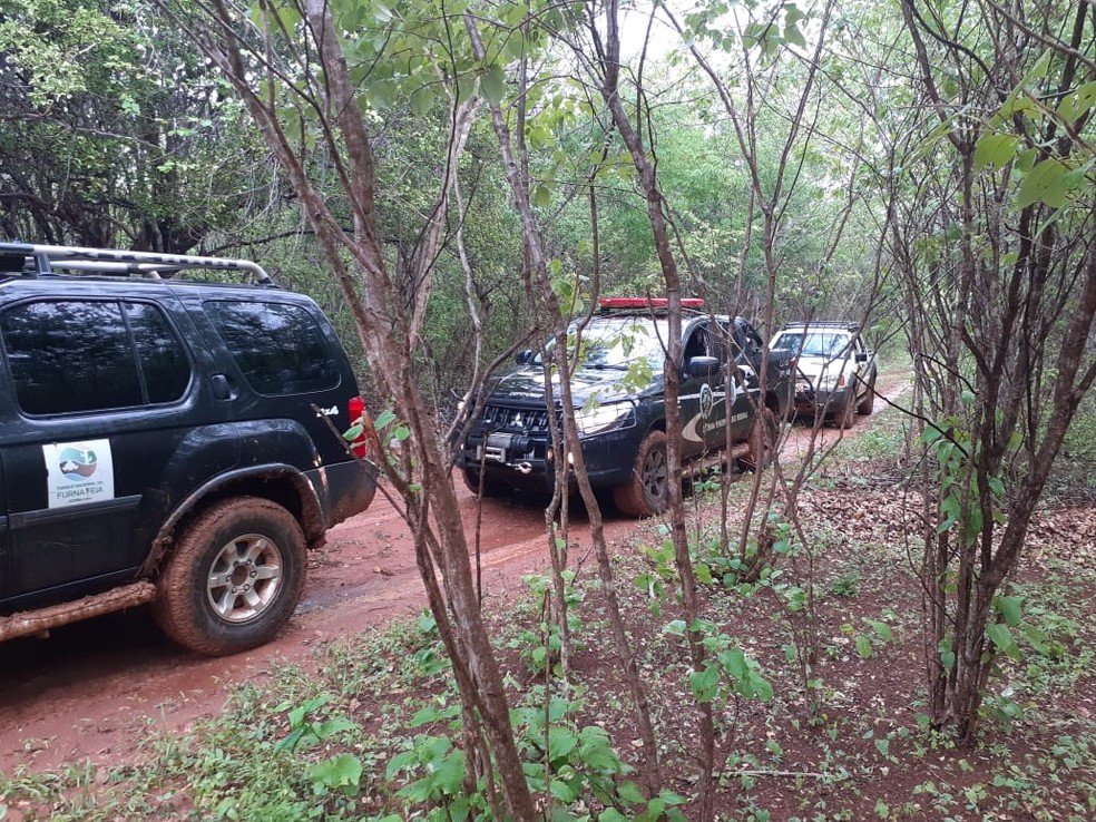 Policiais fizeram buscas por fugitivos da Penitenciária Federal de Mossoró no Parque Nacional Furna Feia — Foto: Divulgação