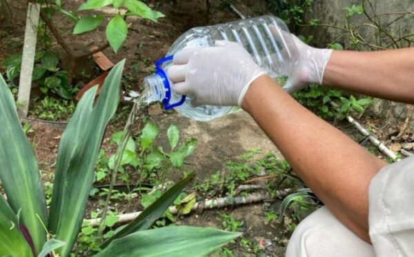 Prevenção das arboviroses consiste principalmente em evitar a proliferação do do Aedes aegypti, transmissor das doenças. — Foto: Bárbara Dantheias/ Sesa