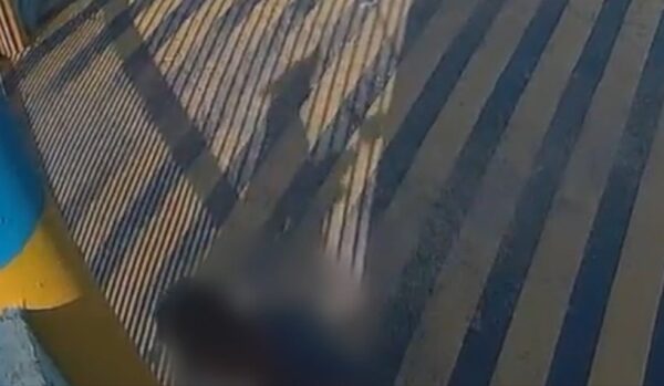 Vídeo mostra momento em que homem tenta ferir cachorros no RN — Foto: Reprodução