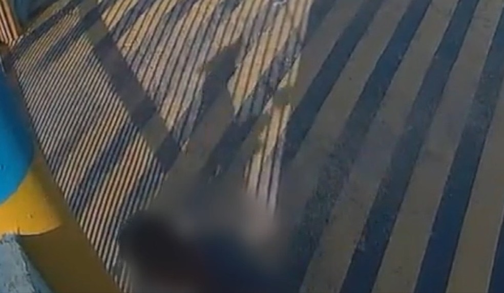 Vídeo mostra momento em que homem tenta ferir cachorros no RN — Foto: Reprodução