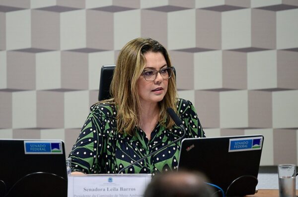 Mesa:
presidente da CMA, senadora Leila Barros (PDT-DF).