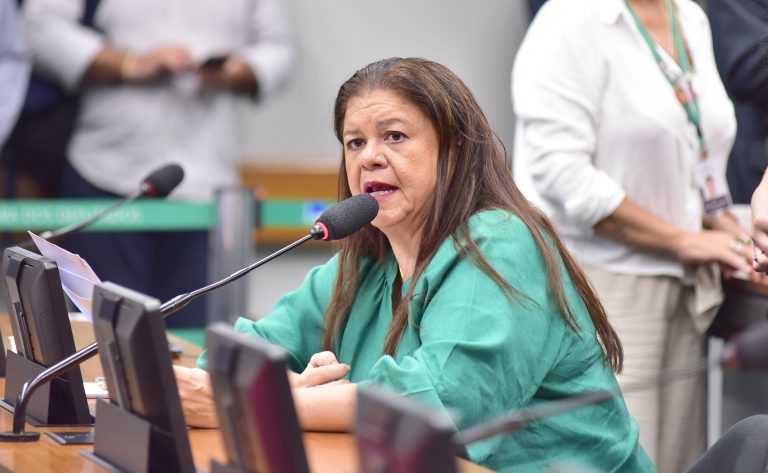 Laura Carneiro fala em reunião de comissão