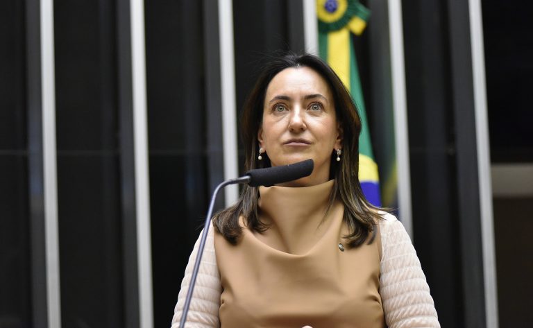 Deputada Rosângela Moro fala ao microfone