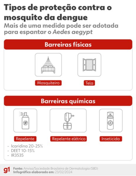 Medidas de proteção contra o mosquito da dengue. — Foto: Arte g1/Ana Moscatelli