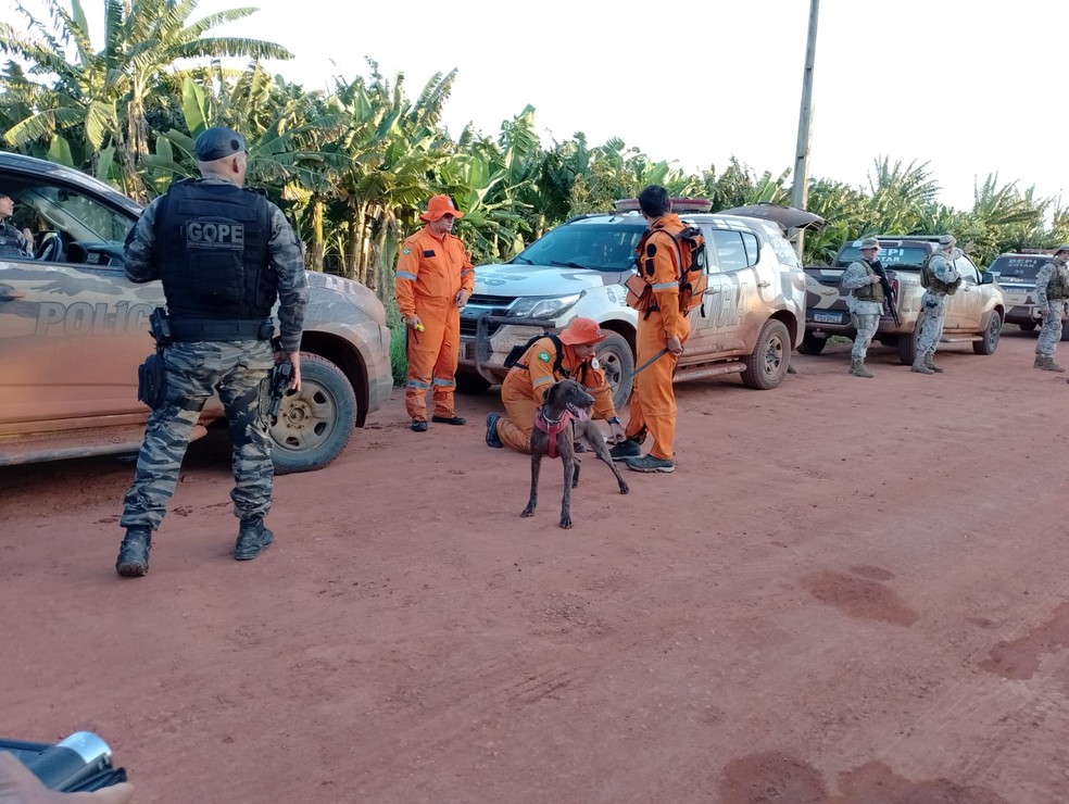 Operação de quinta-feira (29) no cerco aos fugitivos em plantação de banana  — Foto: Ayrton Freire/Inter TV Cabugi