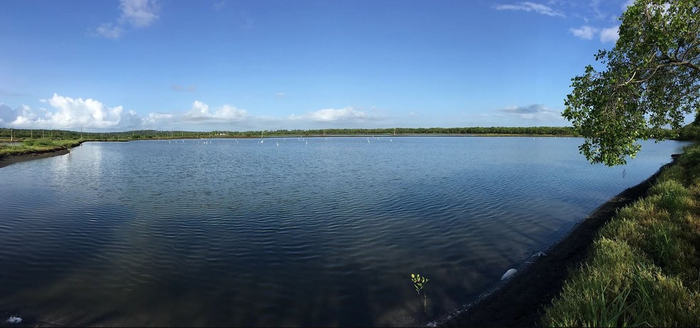 Viveiro fica em Tibau do Sul, no litoral Sul do Rio Grande do Norte — Foto: Divulgação