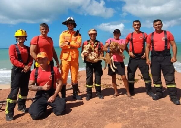 Bombeiros posaram com os cães após o resgate — Foto: Divulgação/CBM