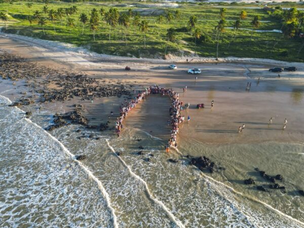 Soltura de tartarugas em Maracajaú — Foto: Pablo Jones/Cedida