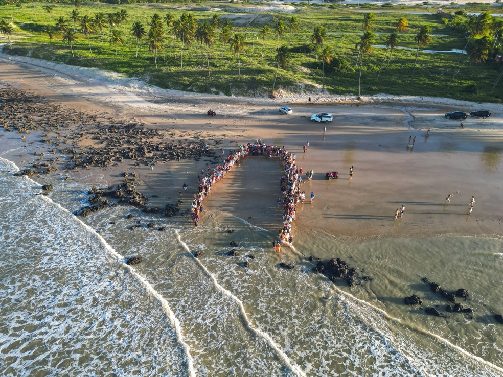Soltura de tartarugas em Maracajaú — Foto: Pablo Jones/Cedida