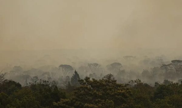 Previsão é de que 2024 terá o maior número de focos desde 2010. Foto: Marcelo Camargo/Agência Brasil