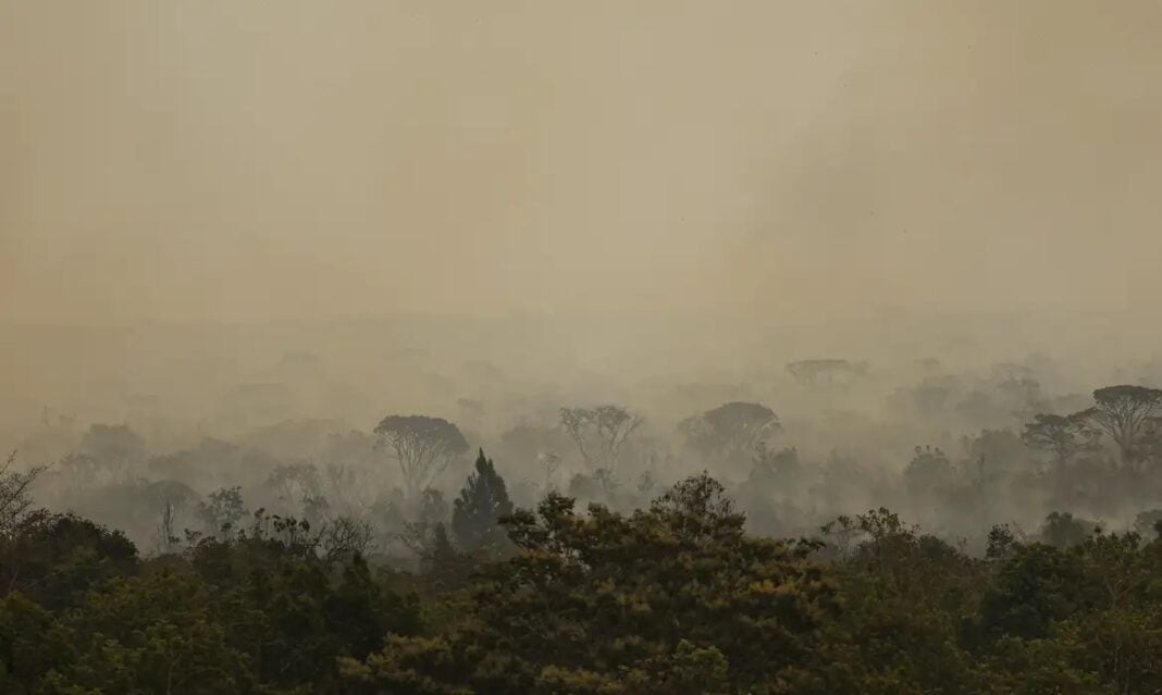 Previsão é de que 2024 terá o maior número de focos desde 2010. Foto: Marcelo Camargo/Agência Brasil